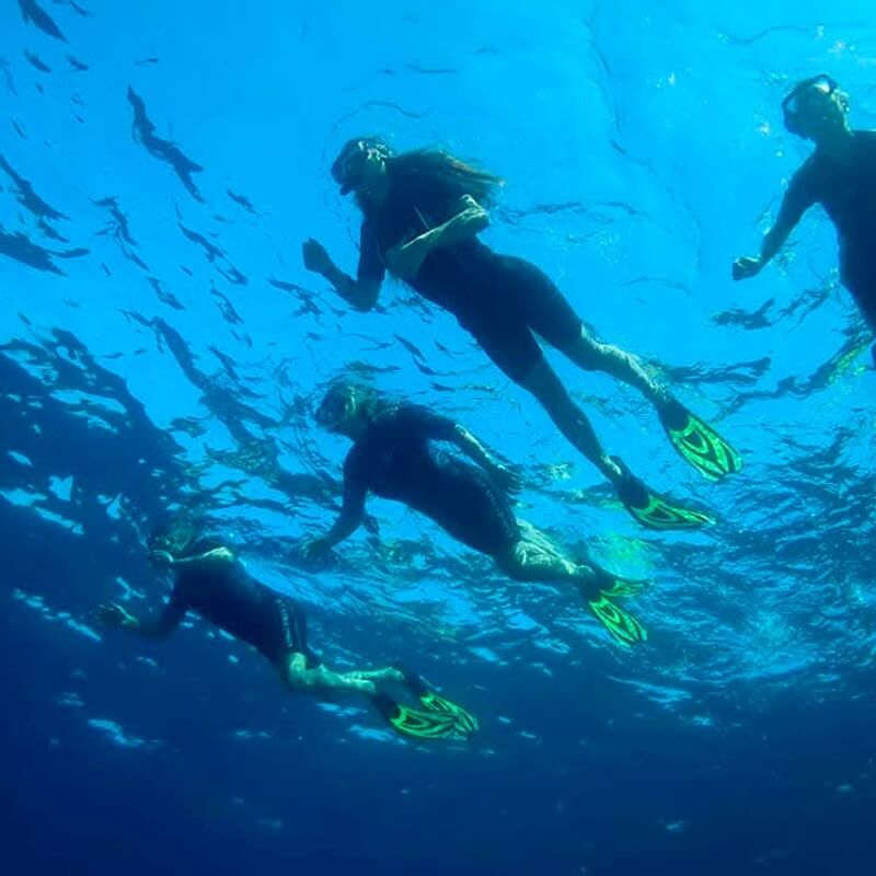 Centro diving Biodivers snorkeling a Porto Azzurro